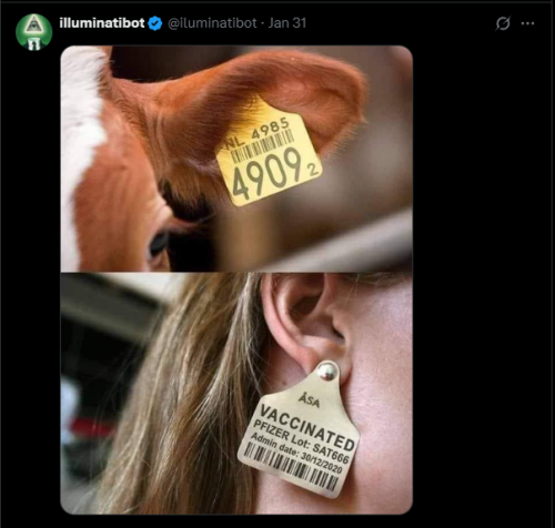 Screenshot 2025-03-15 113709