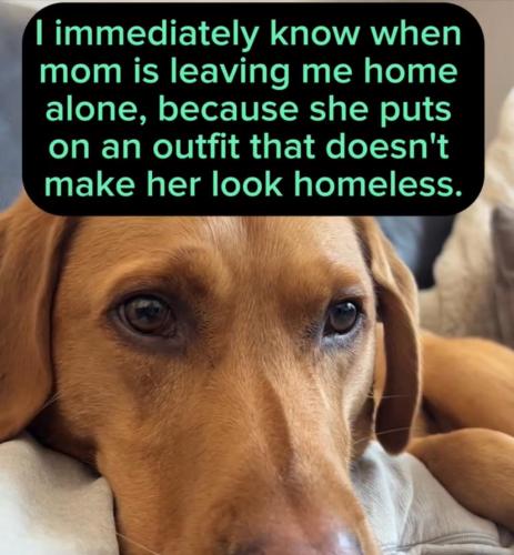 06A21254-2A58-45EF-A17F-50E31E26B2E2