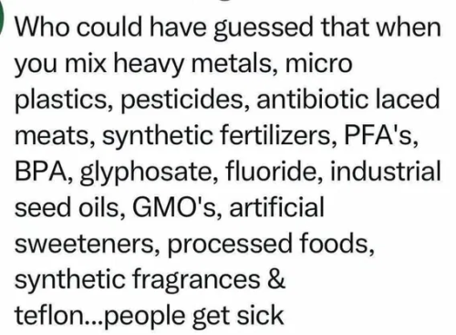 image_2025-03-31_064124216