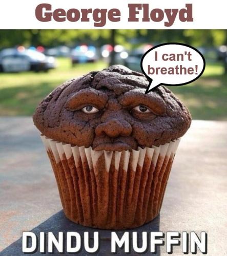 Dindu Muffin George Floyd.800px