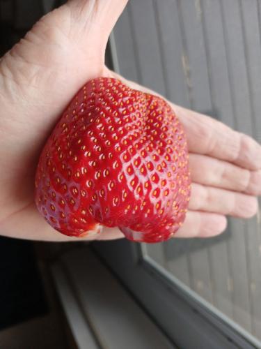 DA2BE5AB-35EB-462B-88CF-C65F492A3AC0