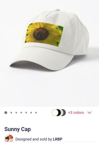 Screenshot_20250310_161937_Brave