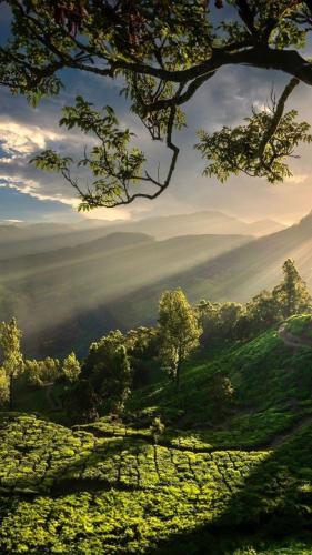 B2E86BB1-B112-422B-B960-2F605F5FABF8