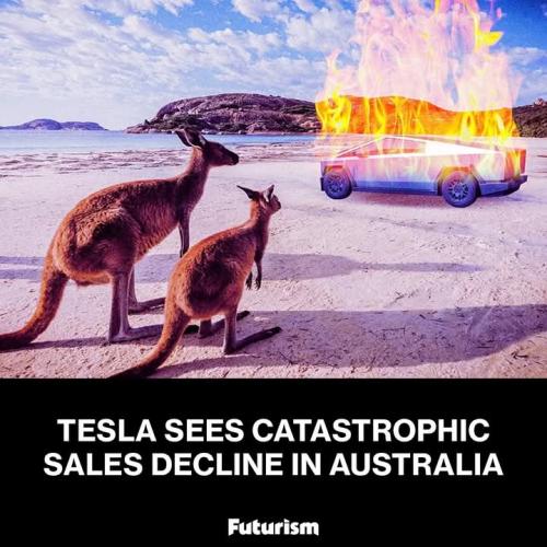 FB_IMG_1741451922011