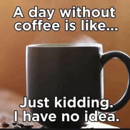 FB_IMG_1741268960858