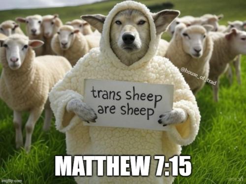 Wolves in Sheeps Clothing 1