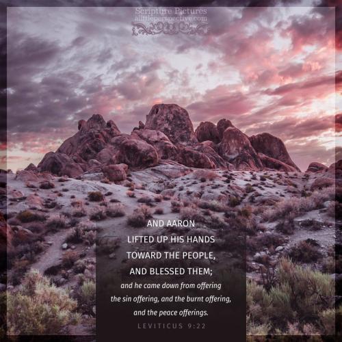 lev-9-22-JPS-unsplash