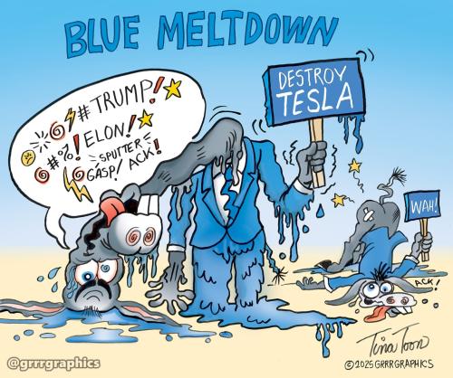 blue_meltdown-Democrats-Tina-toon-1536x1287