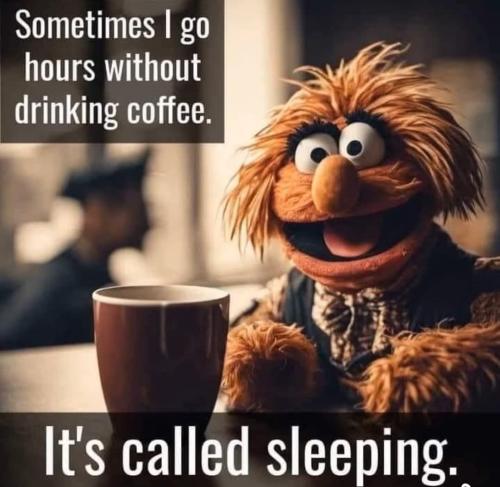 FB_IMG_1743252330044