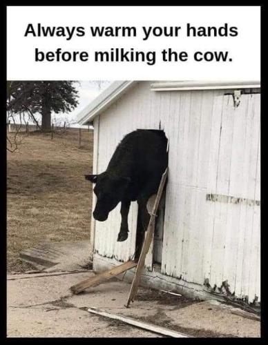 FB_IMG_1742146005530