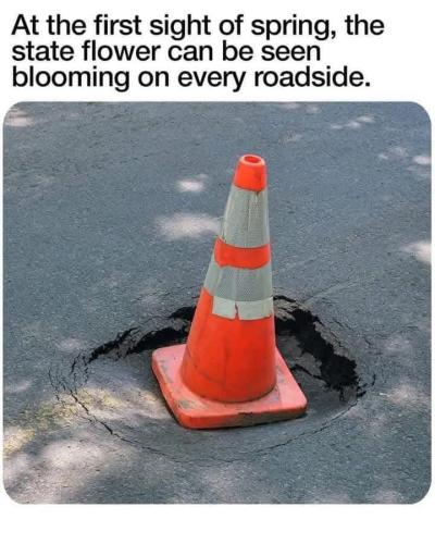 FB_IMG_1740950644257