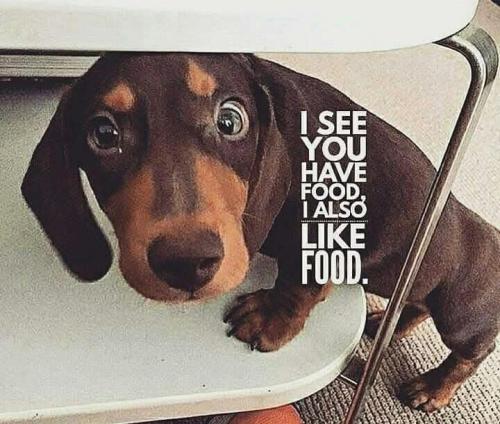 FB_IMG_1742406271047