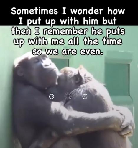 502A596F-082C-4E3C-8CA4-FFC53BD38396