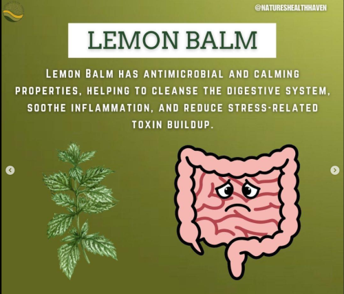 Screenshot 2025-03-12 105614