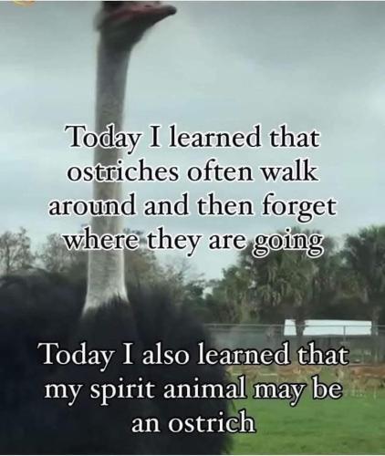 CB96A2F7-80A7-430B-AAA0-09A7B1AD3DDC