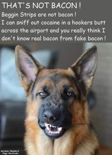 FB_IMG_1742406005644