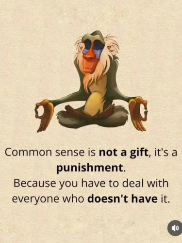 d686710a-e9bb-4ac1-8d51-64844cb272e0