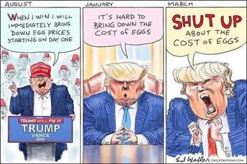 FB_IMG_1742739896593