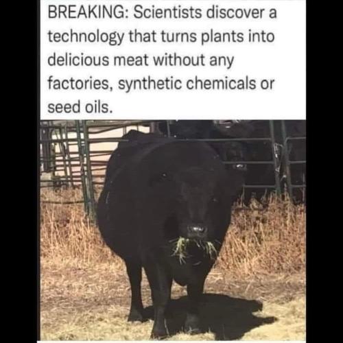 003BDFEA-F05E-4D90-8BCE-A4BD266B7A65