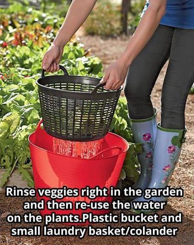 1B48C38C-C936-4255-B9CF-2E5E9D8A5025