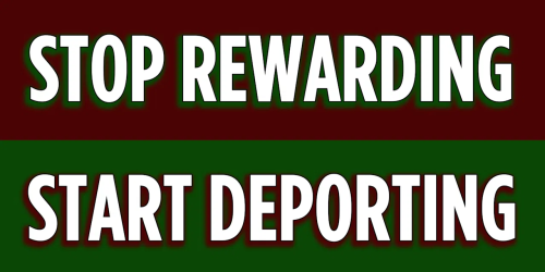 image_2025-03-15_084358198