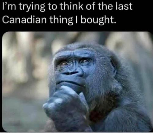 c3d49827-3a60-4ca8-981f-a2b44437a701