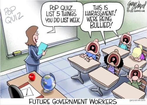 8906d49a-07a8-412f-8ec0-f14ea4c39309_1116x802