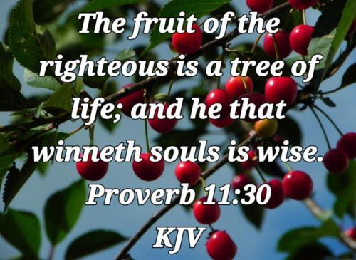 6bb462bc-6a75-4299-8259-c11ad8b621b4