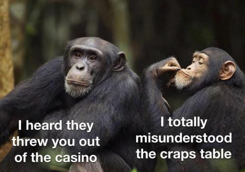 A253FA29-9430-4772-8C0B-4E889B0D71EA