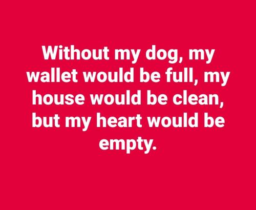 Screenshot_20250217_100919_Facebook