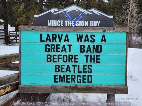 image-Jg9y6w94AbdPTPB0