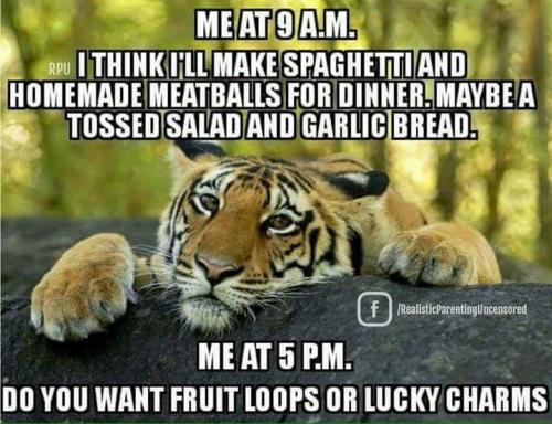 C6BBF002-6DEA-4B95-A0B7-63ED984D0ED2