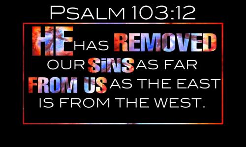 315986432304201-4055652473