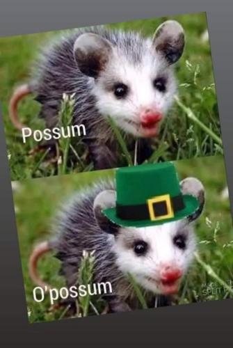 6b4ca6cb-7d99-4955-97f1-1fa8e1300d54