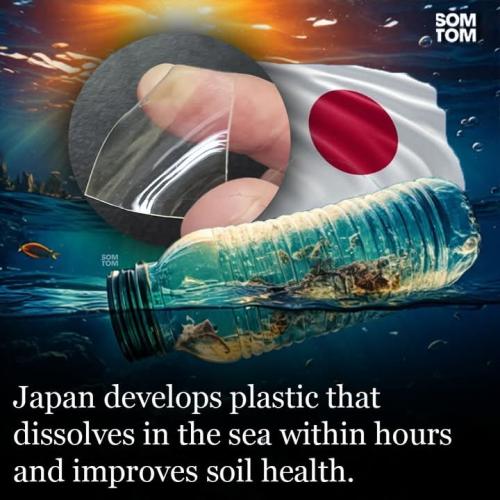 FB_IMG_1741451522913