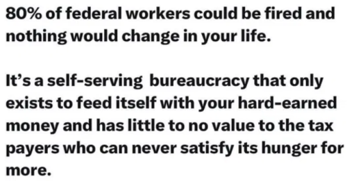 image_2025-03-09_145857485