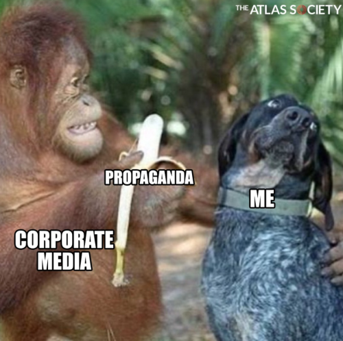 Screenshot 2025-03-11 104930