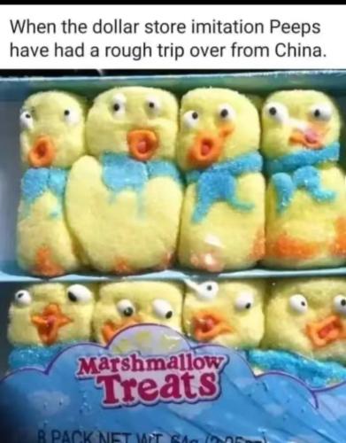 IMG_20250314_165423_057