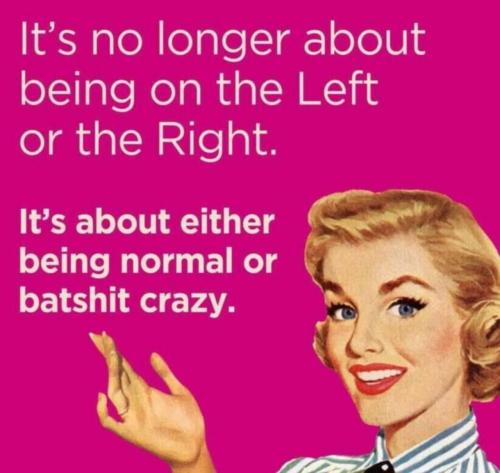 image_CDD4C127-38AF-4707-82DE-5C8F04D8FFE8