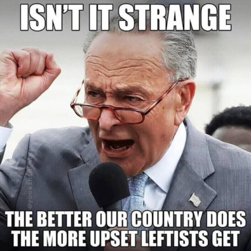 image_2025-03-08_104425541