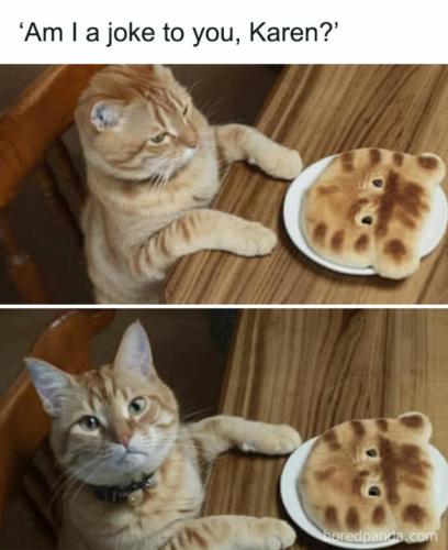 4ce803d843498d546ebcc14ece4d040e