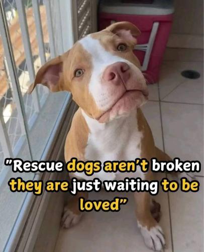 FB_IMG_1741114713439