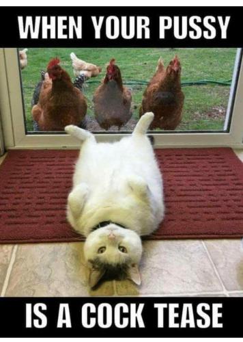 FB_IMG_1743335640175