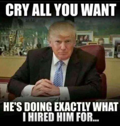 FB_IMG_1741372886251