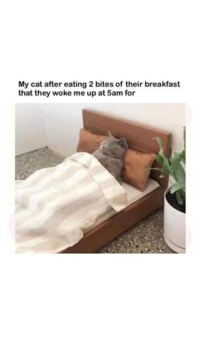 FB_IMG_1741476700346