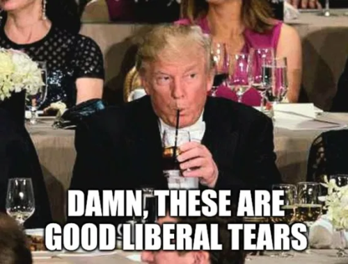 image_2025-03-09_152916497