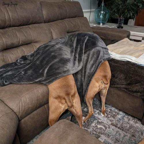 FB_IMG_1742548743555