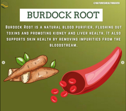 Screenshot 2025-03-12 105602