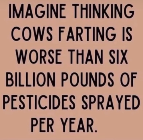 Screenshot 2025-03-14 154956