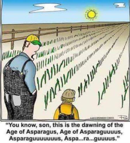 Screenshot_20250315_154928_Gallery